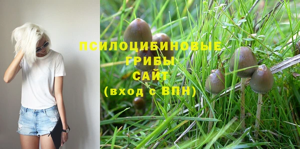 ALPHA-PVP Дмитровск